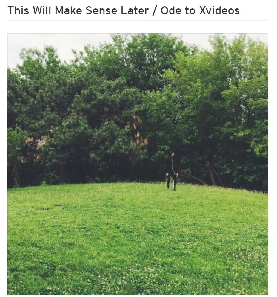 Skinny Hendrixx •	"This Will Make Sense Later / Ode to Xvideos"