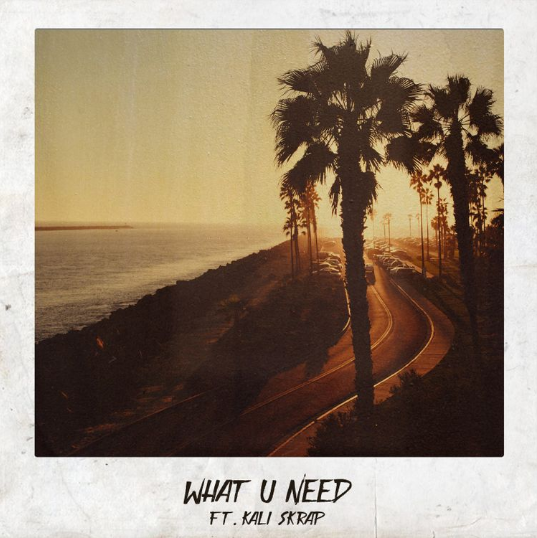Ikon (Ft. Kali Skrap) • "What U Need"