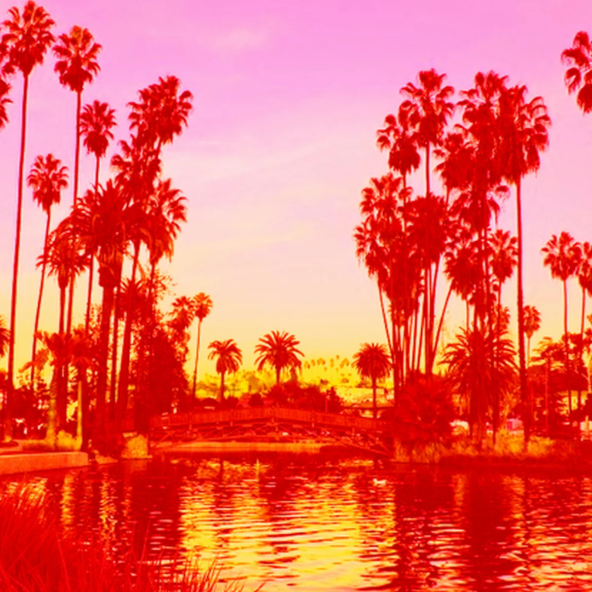 Cam O'bi • "Echo Park"