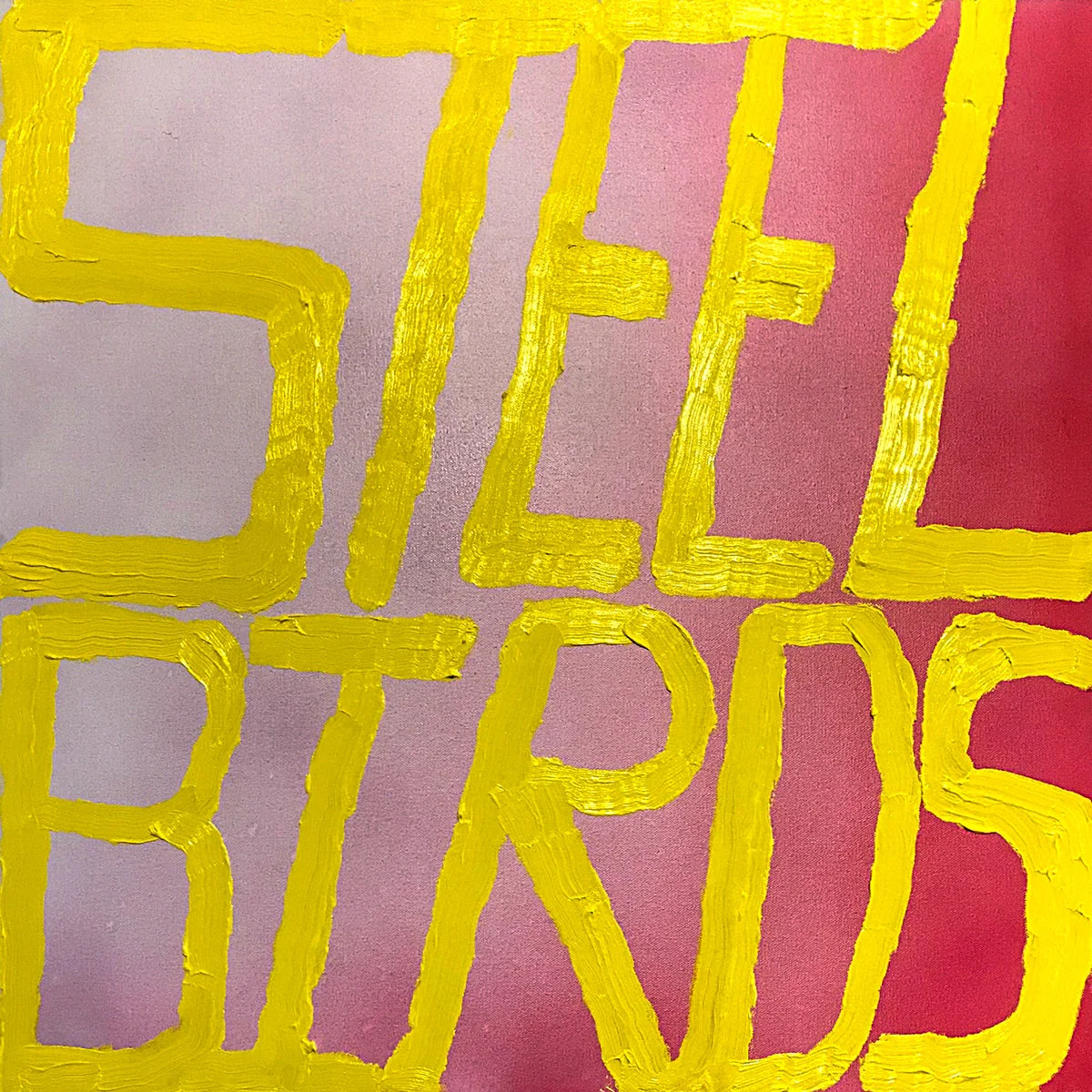 Slow Pulp • "Steel Birds"