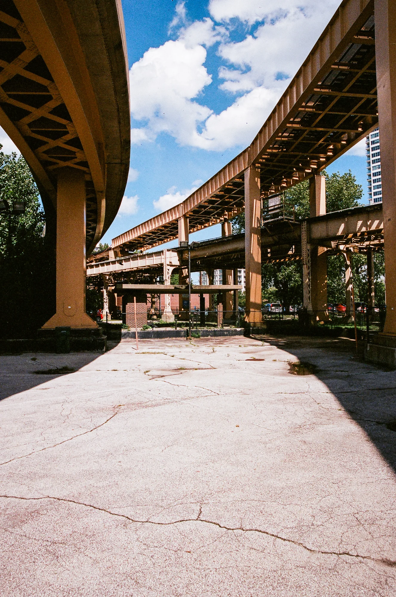 31660023.jpg