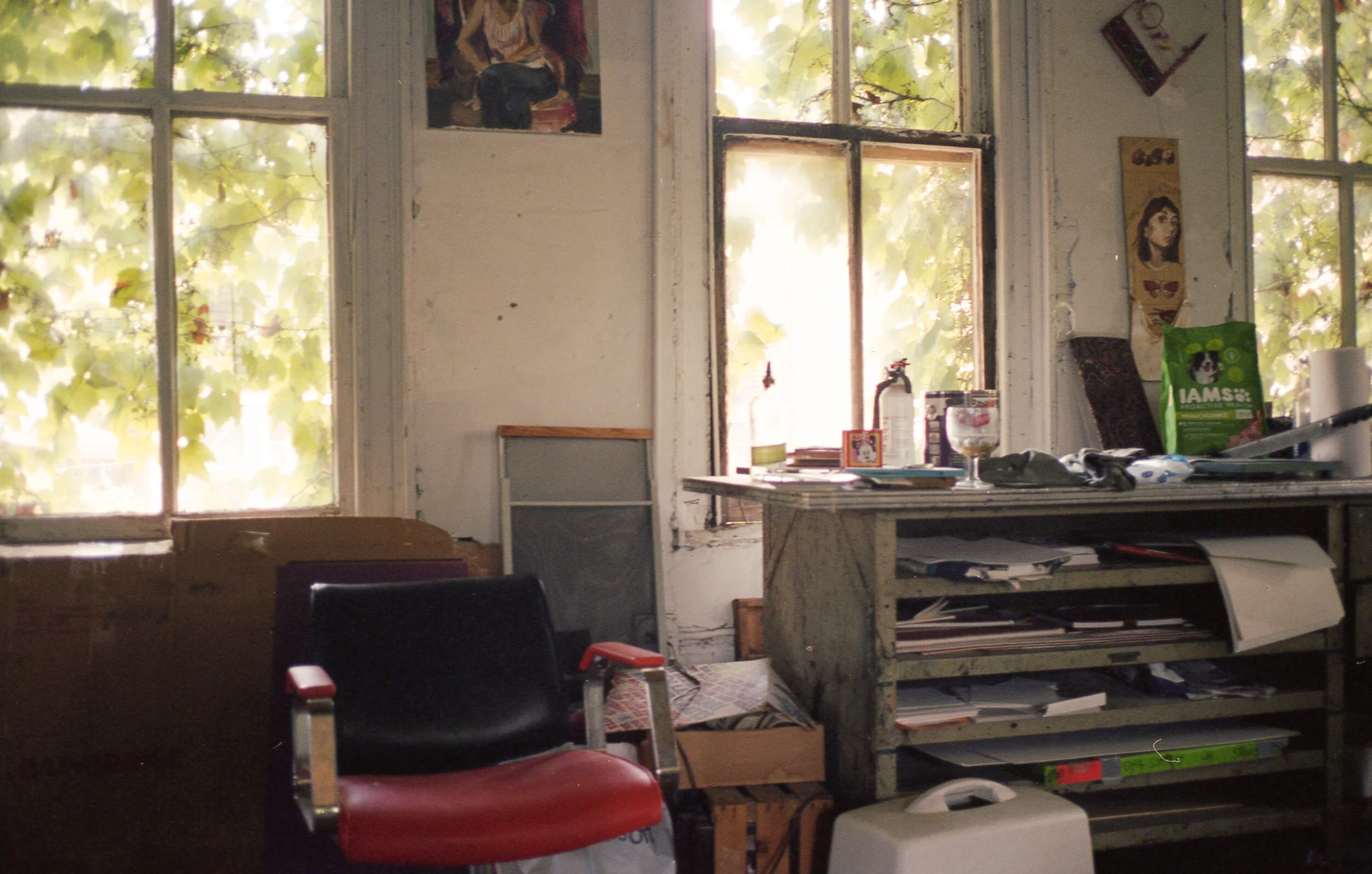 0954_006.jpg
