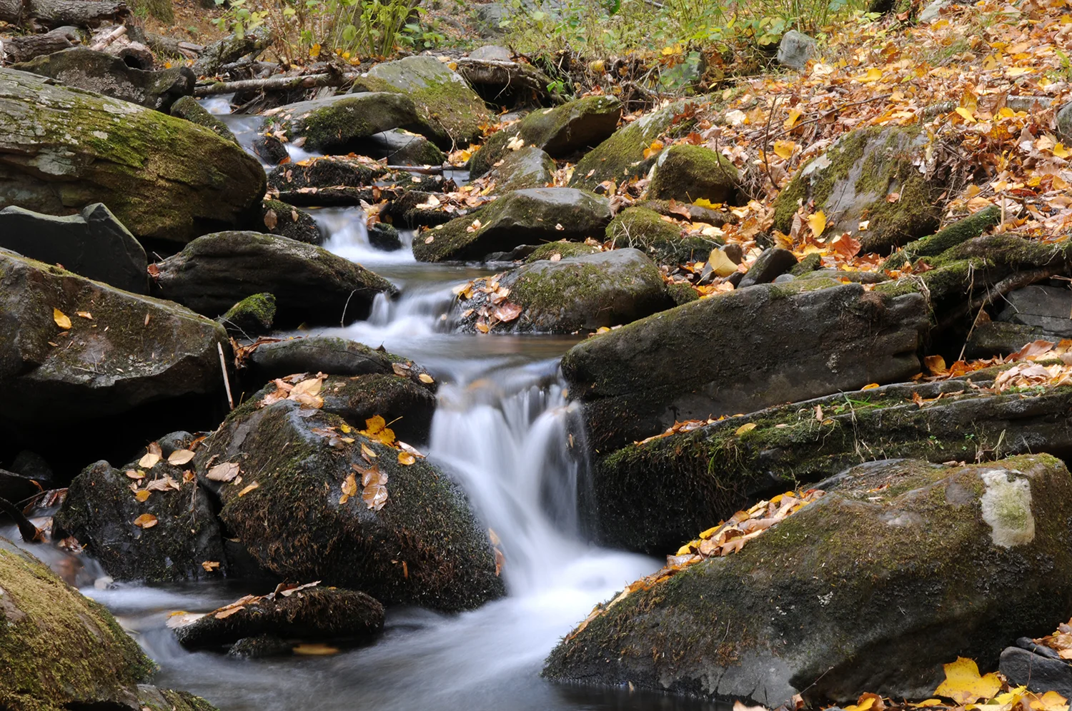 DSC_0189.JPG