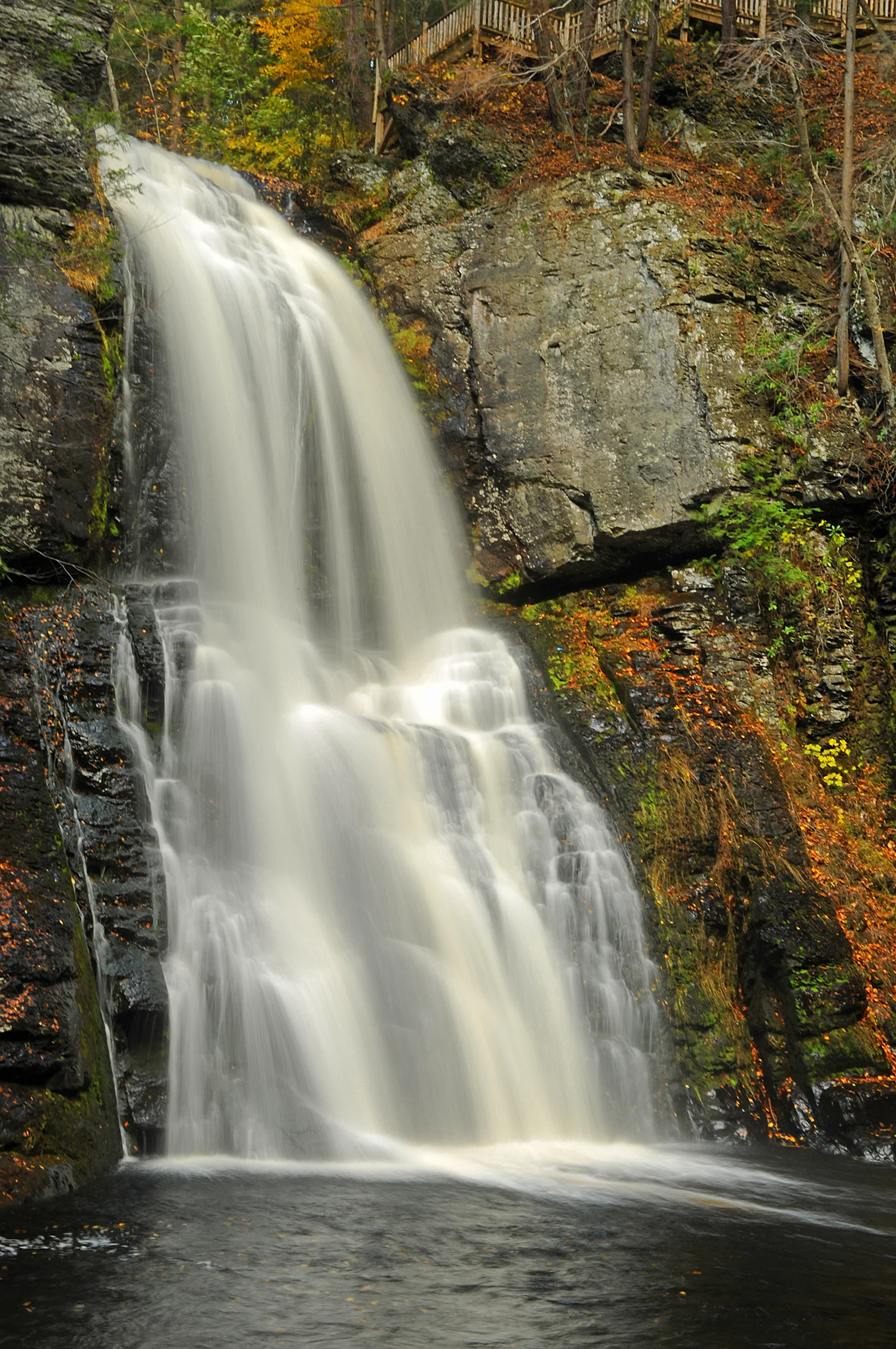 DSC_0223.JPG
