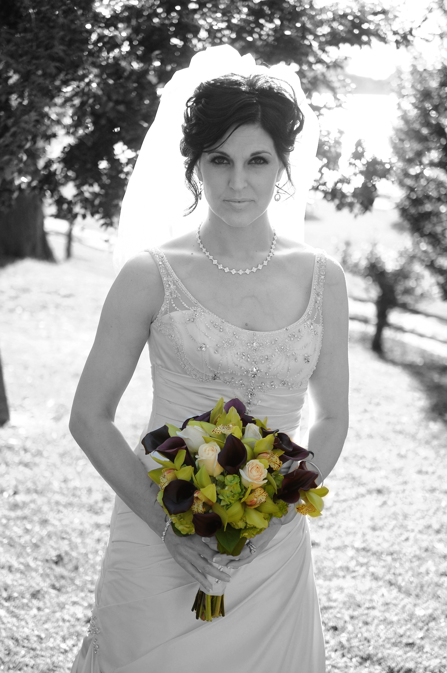 Todd Rothstein Photography photo photography photographer photo studio ...