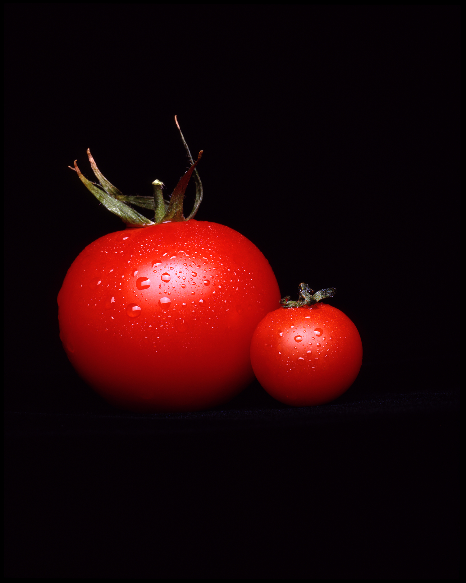 Todd Rothstein Photography Tomatoes.jpg