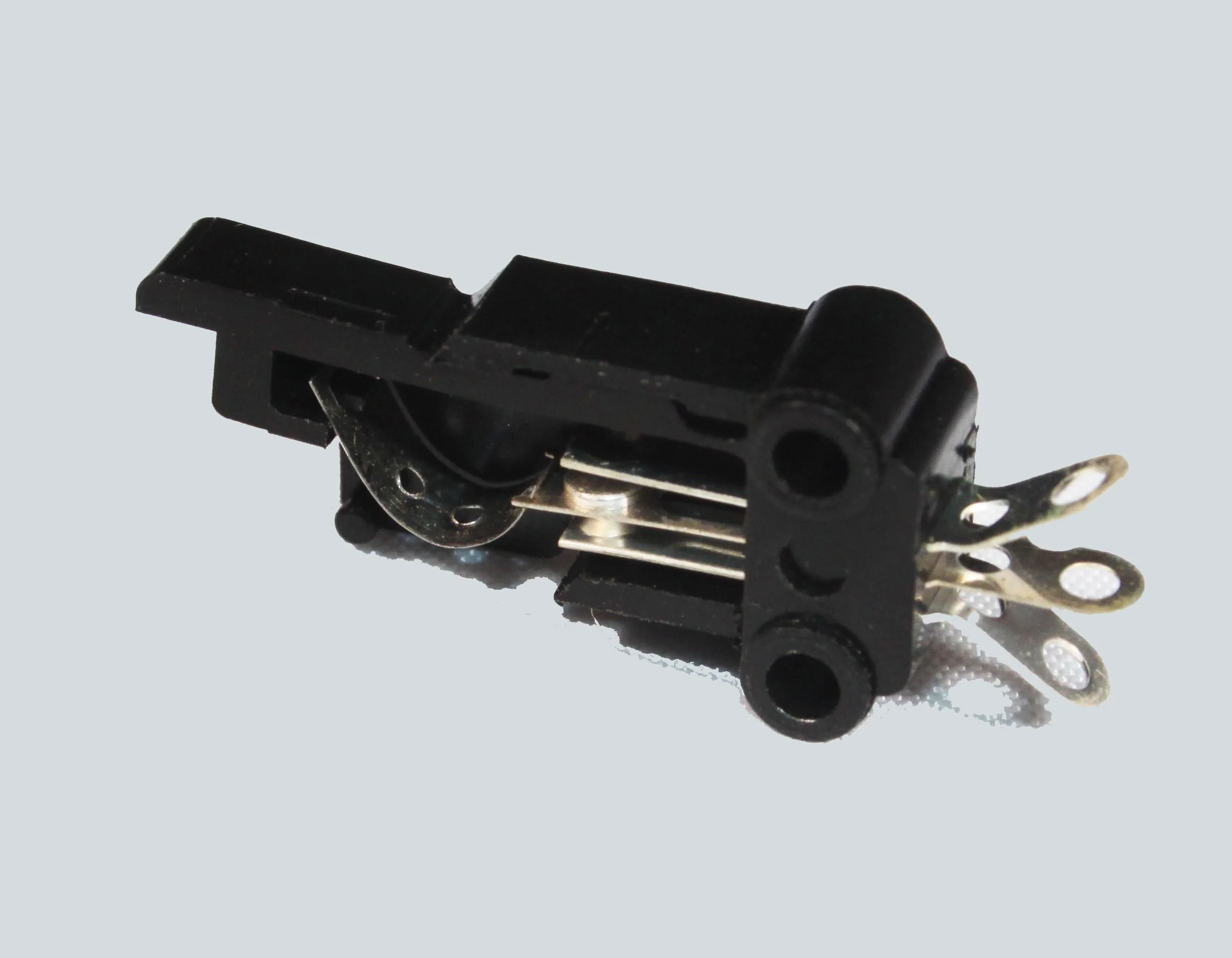 LEAFSL Large Leaf Switch - Edited.jpg