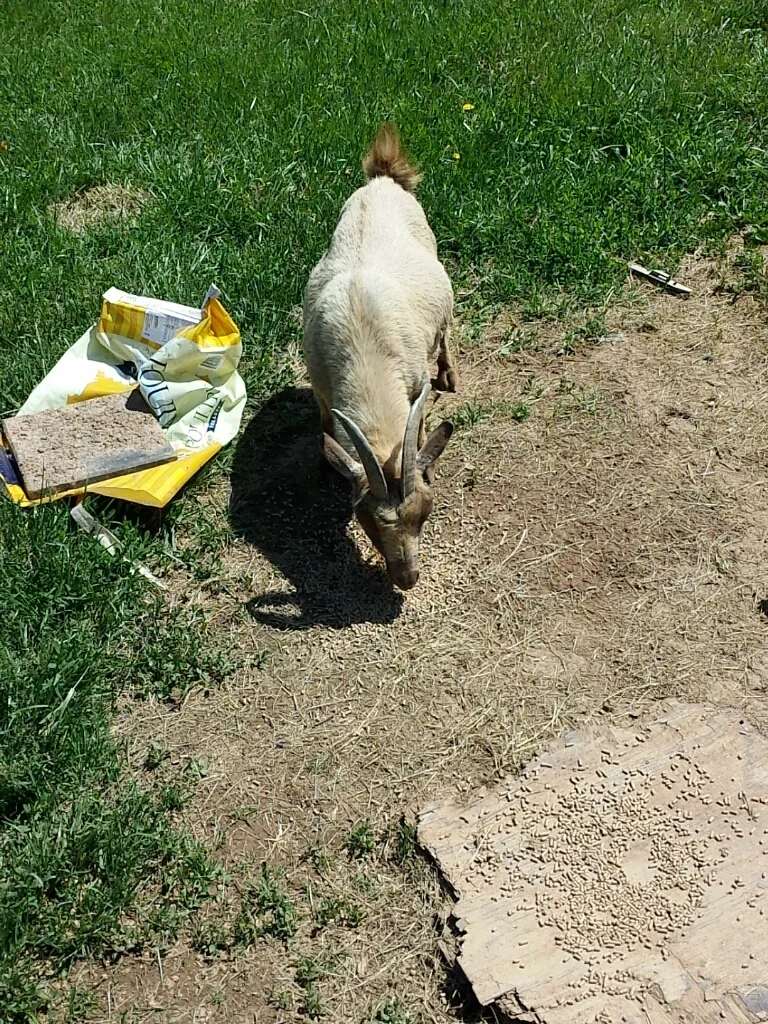 CYMERA_20140518_110318.jpg