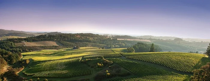 WINO WEDNESDAYS - FREE TO THE PUBLIC!