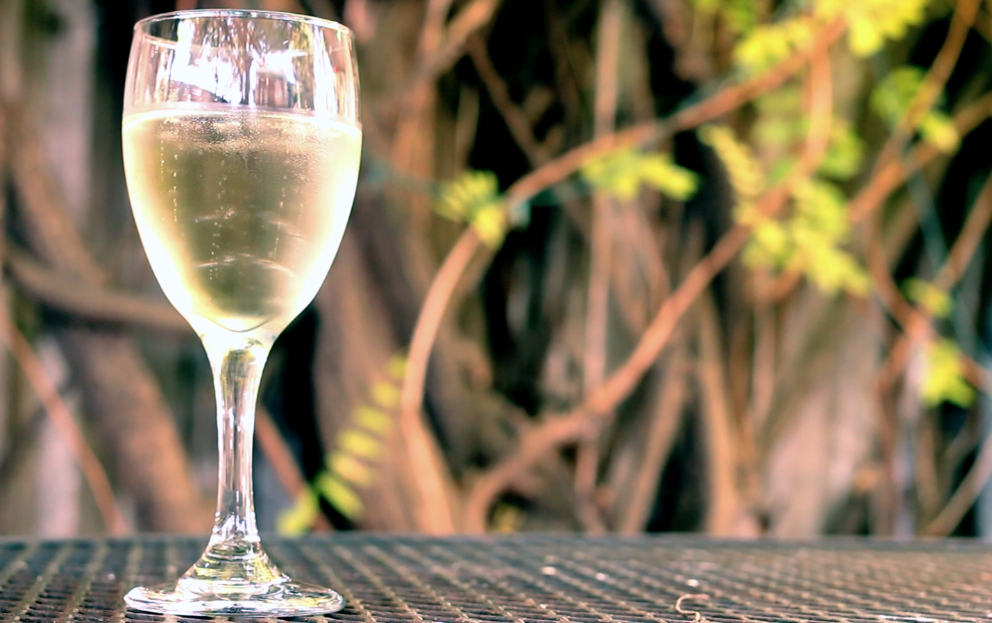 We're so lucky to have Frederick Corriher Wine and Champagne Lelarge-Pugeot with us this week! Clémence Lelarge of the Lelarge-Pugeot winery will taste us through four organic Champagnes from the family vineyard. Join us at 6 for bubbly, cheers!
