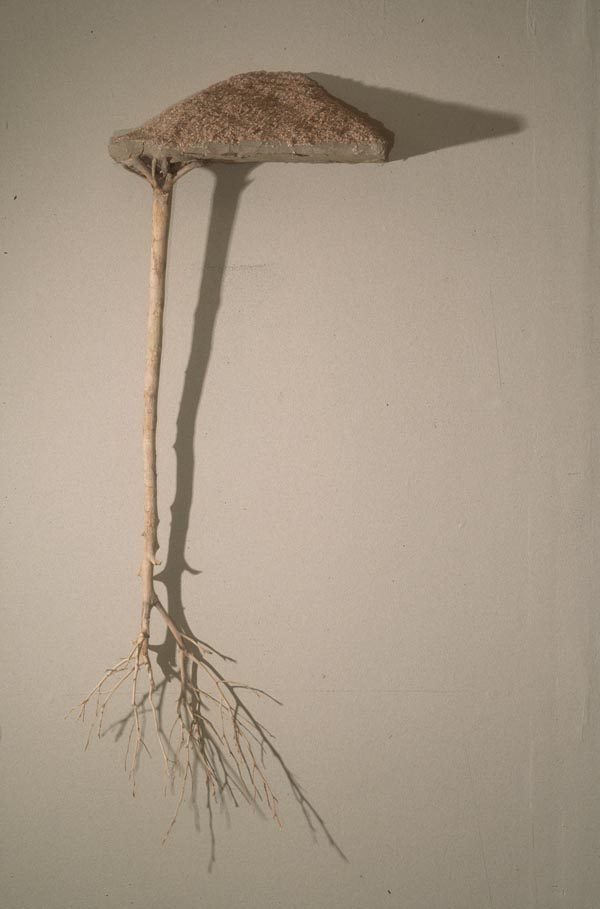 11_tree.jpg