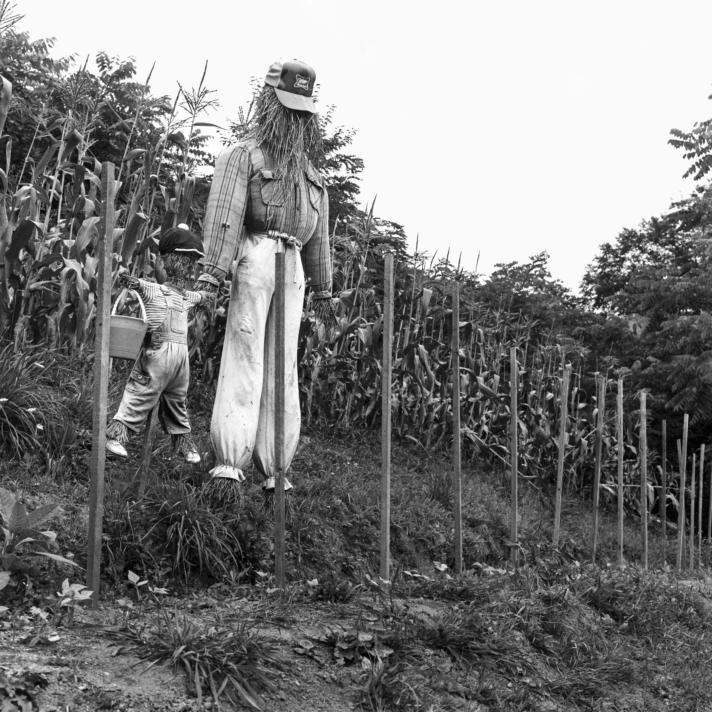 10Applachia Scarecrows.JPG