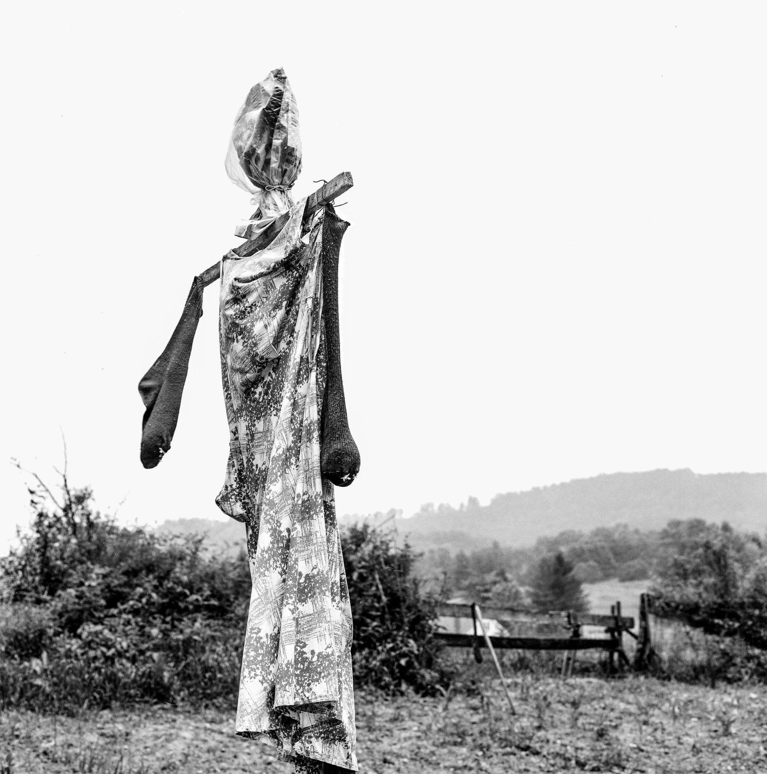 20Applachia Scarecrows.JPG