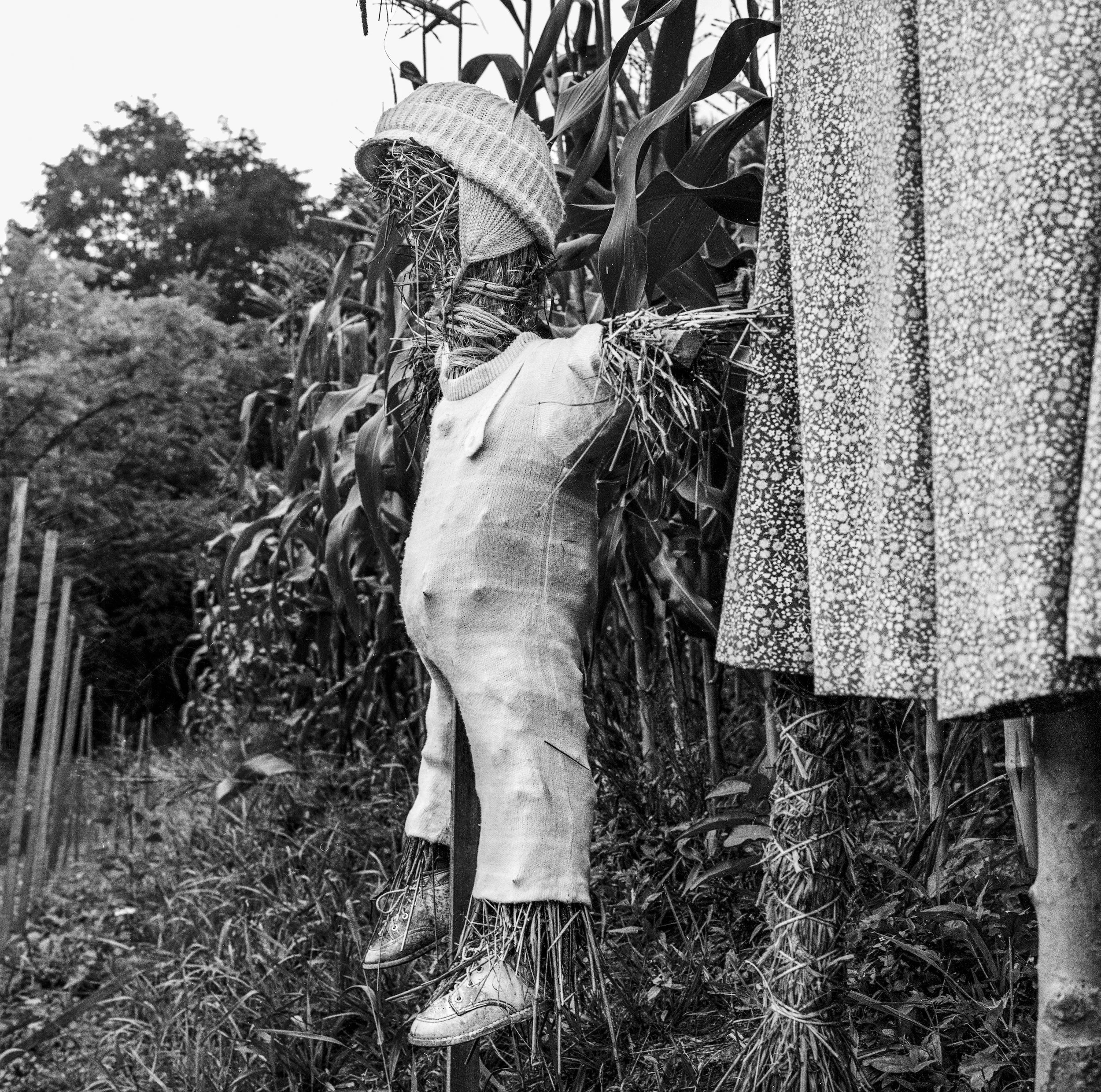 02Applachia Scarecrows.JPG
