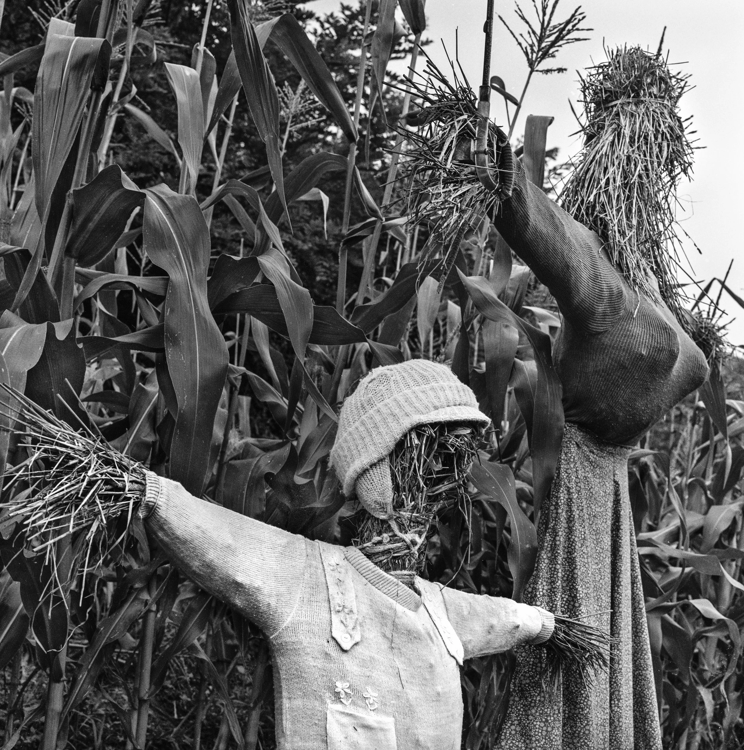 11Applachia Scarecrows.JPG