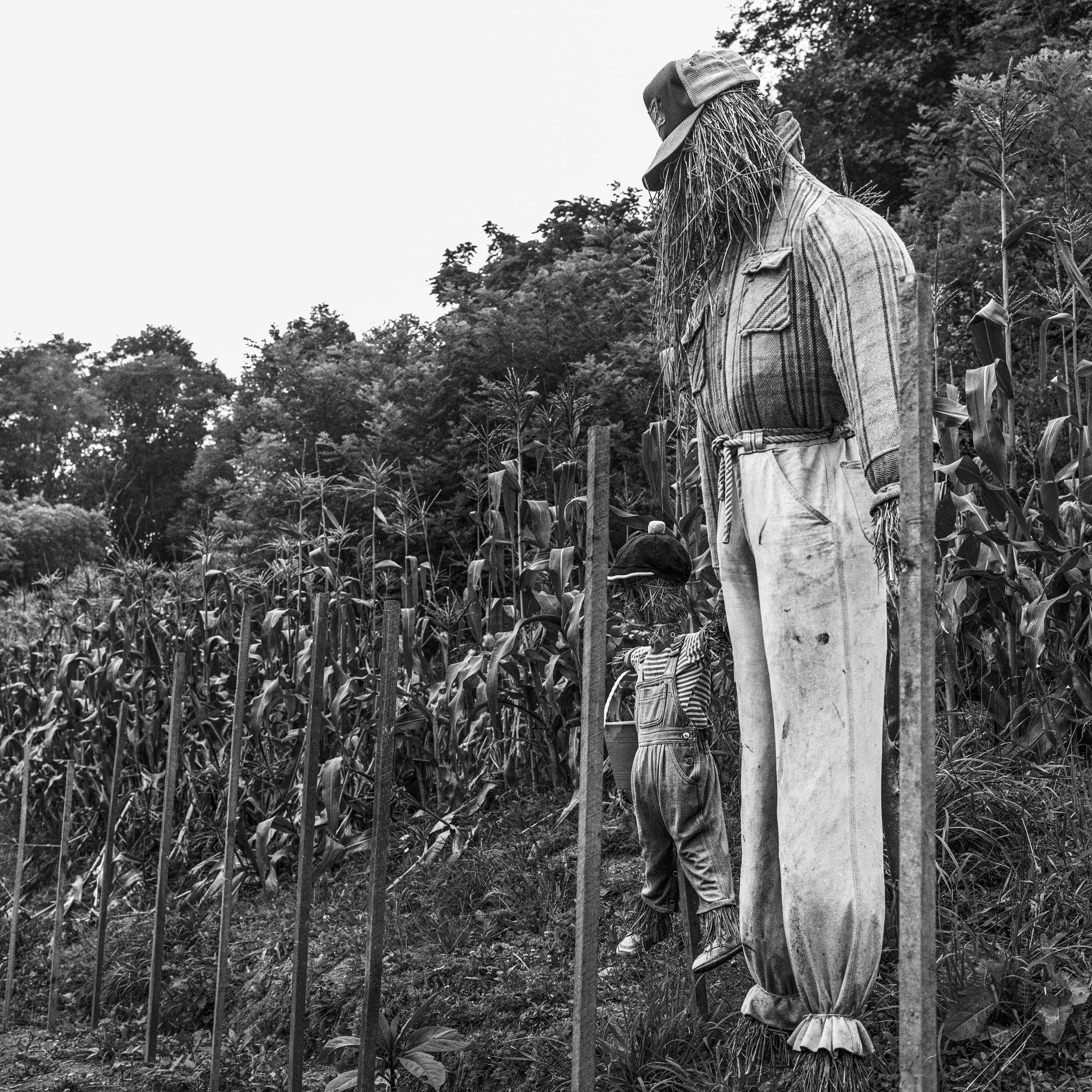 12Applachia Scarecrows.JPG