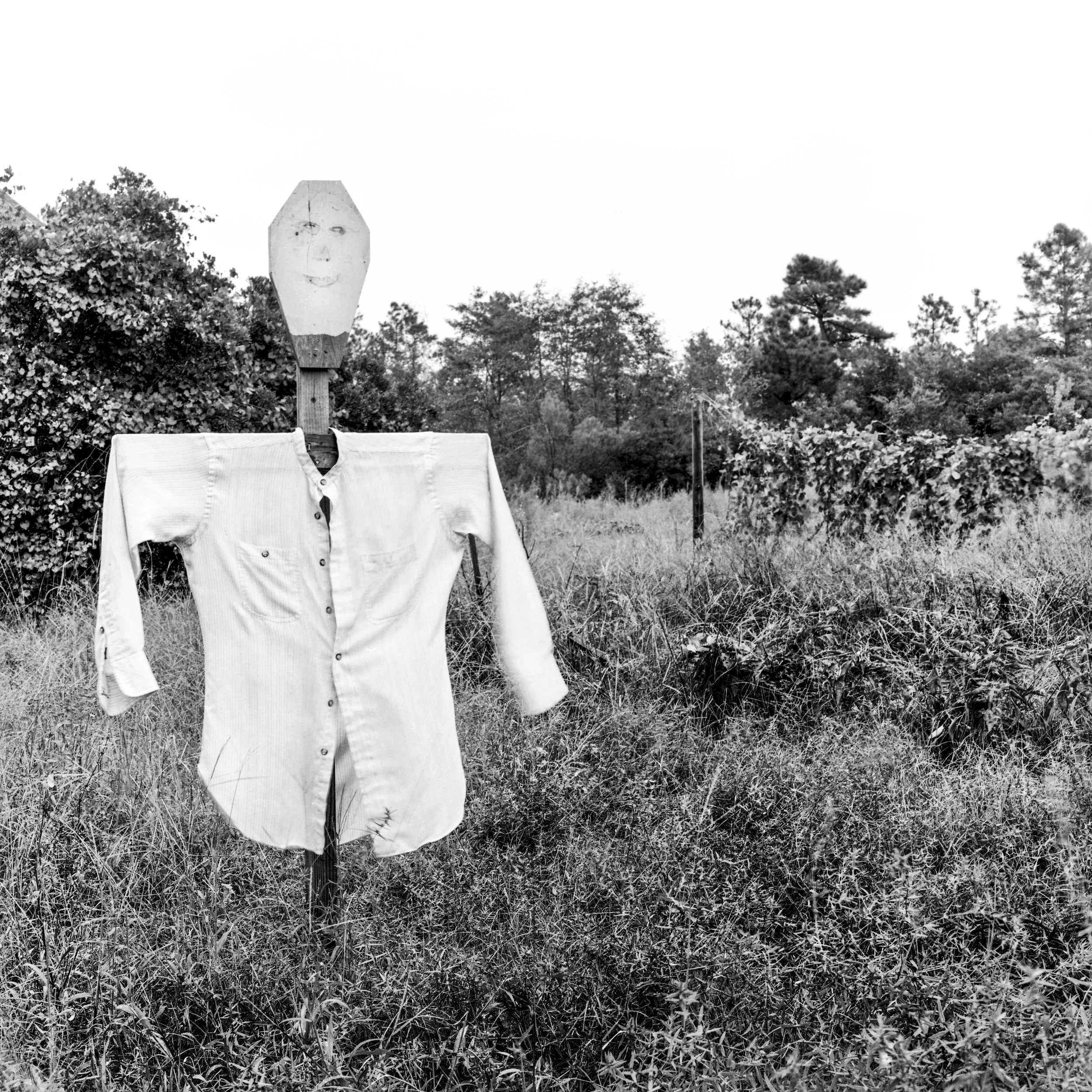 14Applachia Scarecrows.JPG