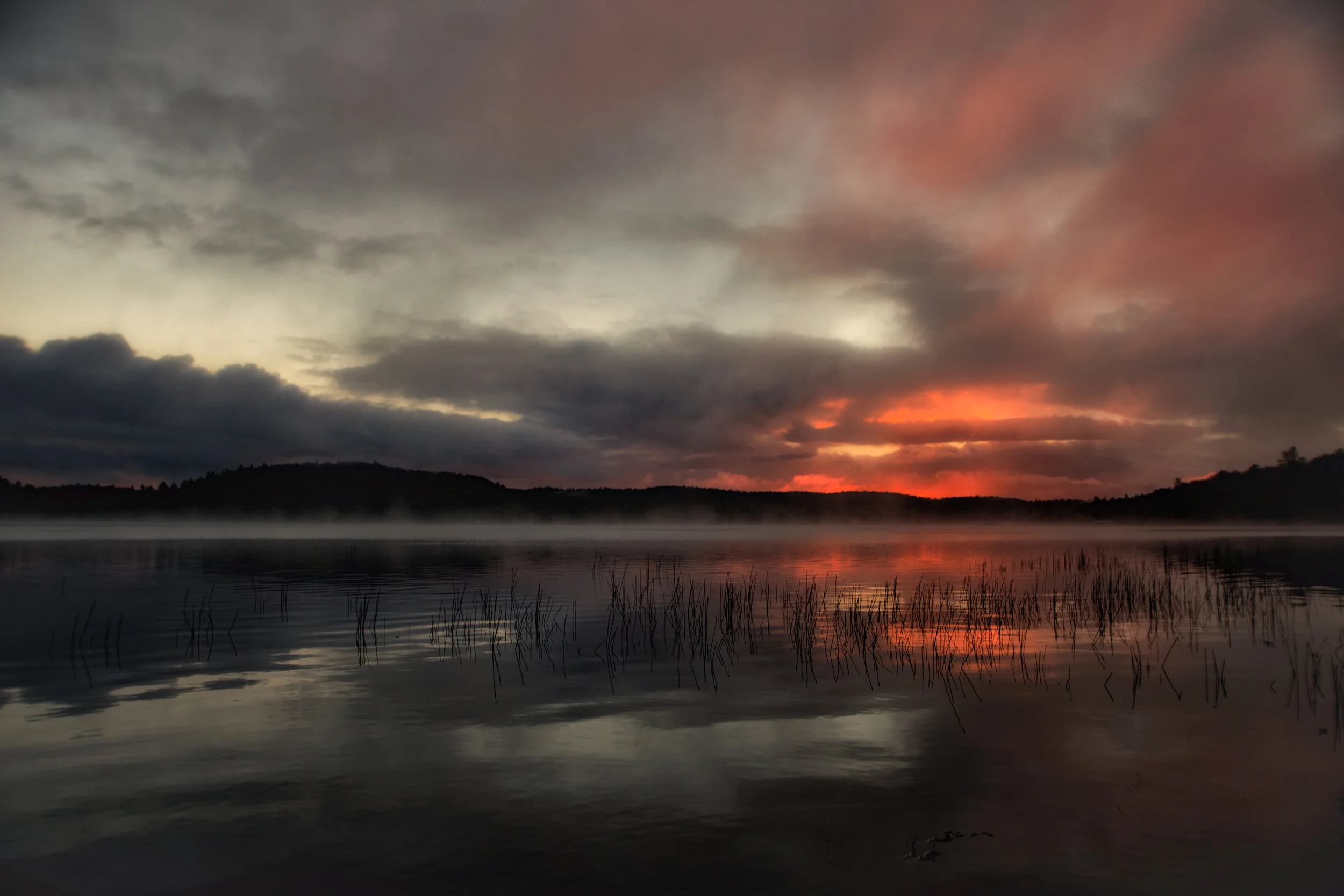 C39A0224-Edit-Edit.jpg