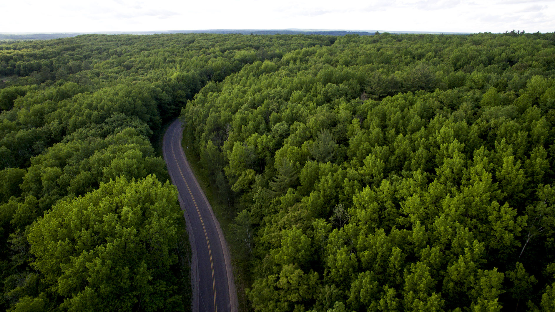 DJI_0031.jpg