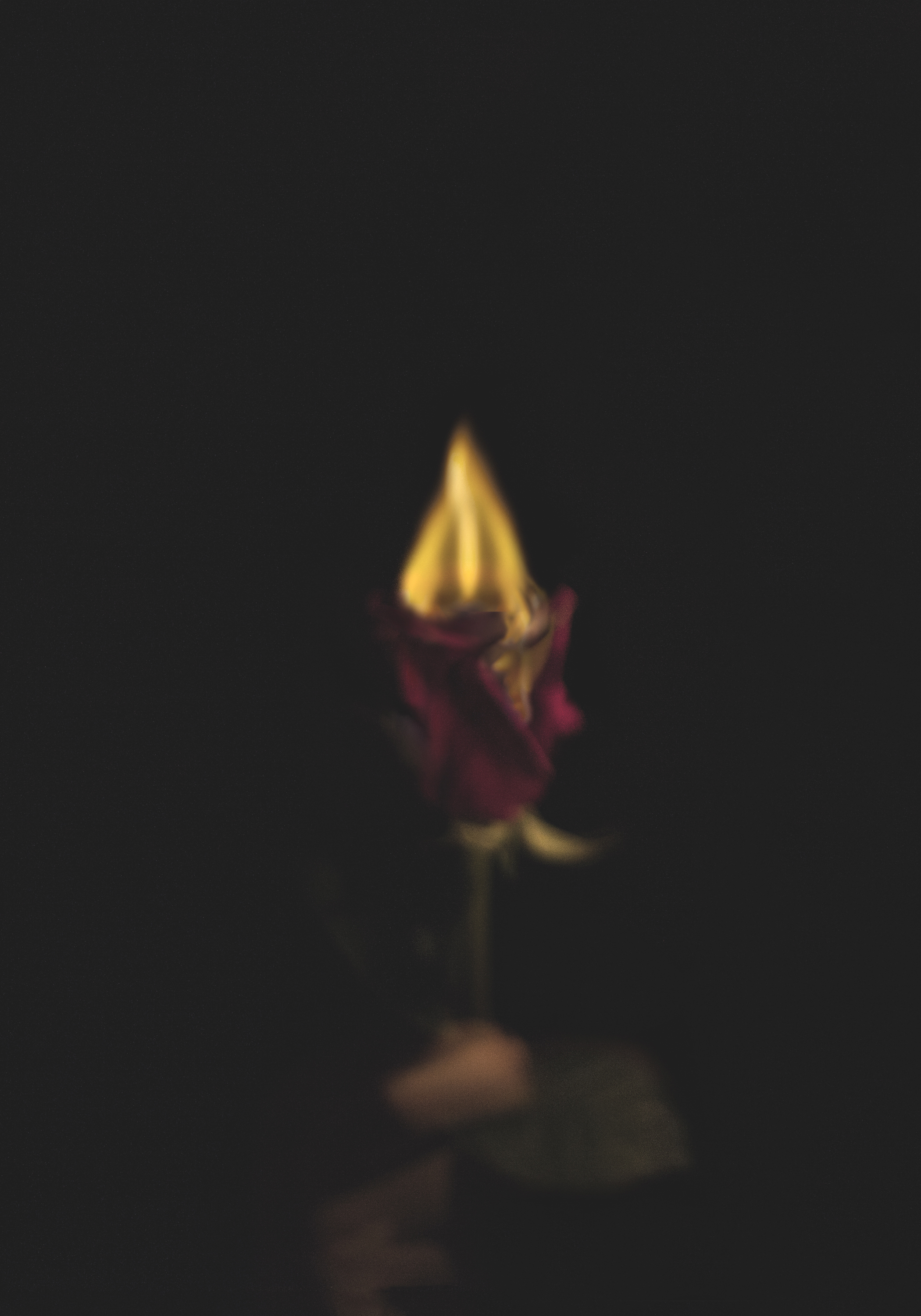 IMG_0325_floweronfire copy.jpg