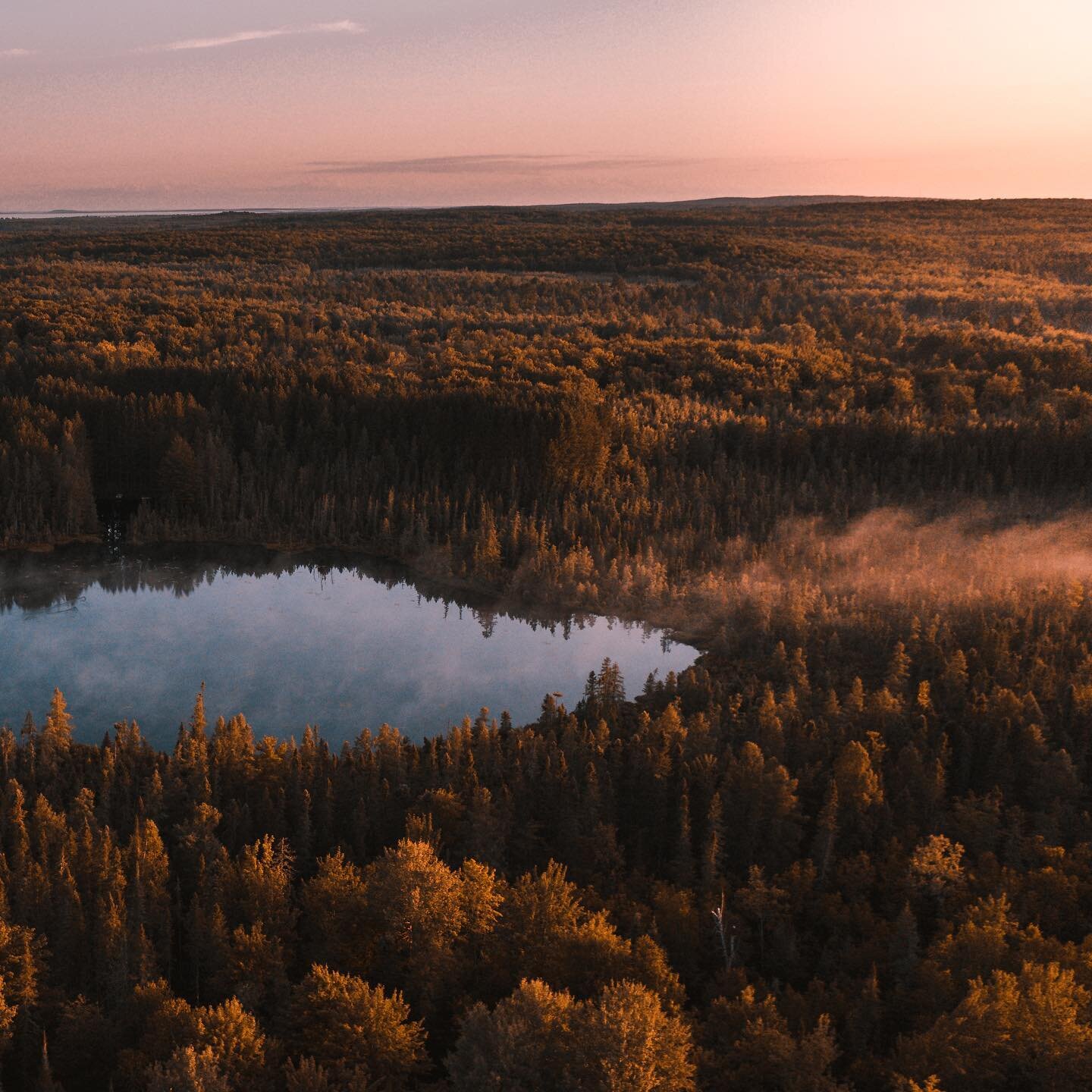 Secluded 
.
.
.

#2020 #michaeljohnsphoto #puremichigan #puremittigan #puremittenpride #yooper #neverstopexploring #agameoftones #uptravel #home #nature #colors #adventure #moodygrams 
#travel #photooftheday #letsgoeverywhere #dronestagram #trees #tr