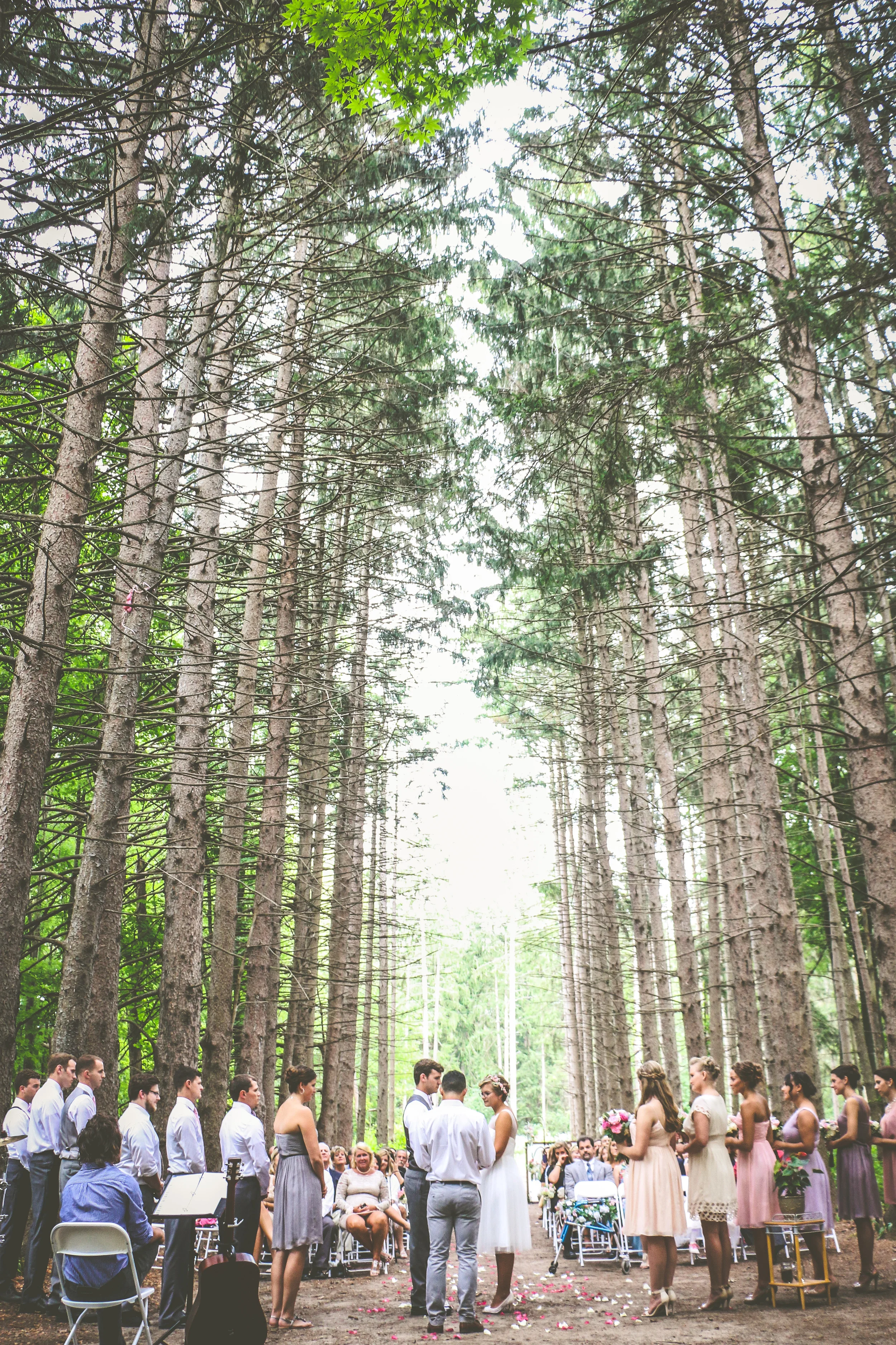 © Rachel Dwyer Photography