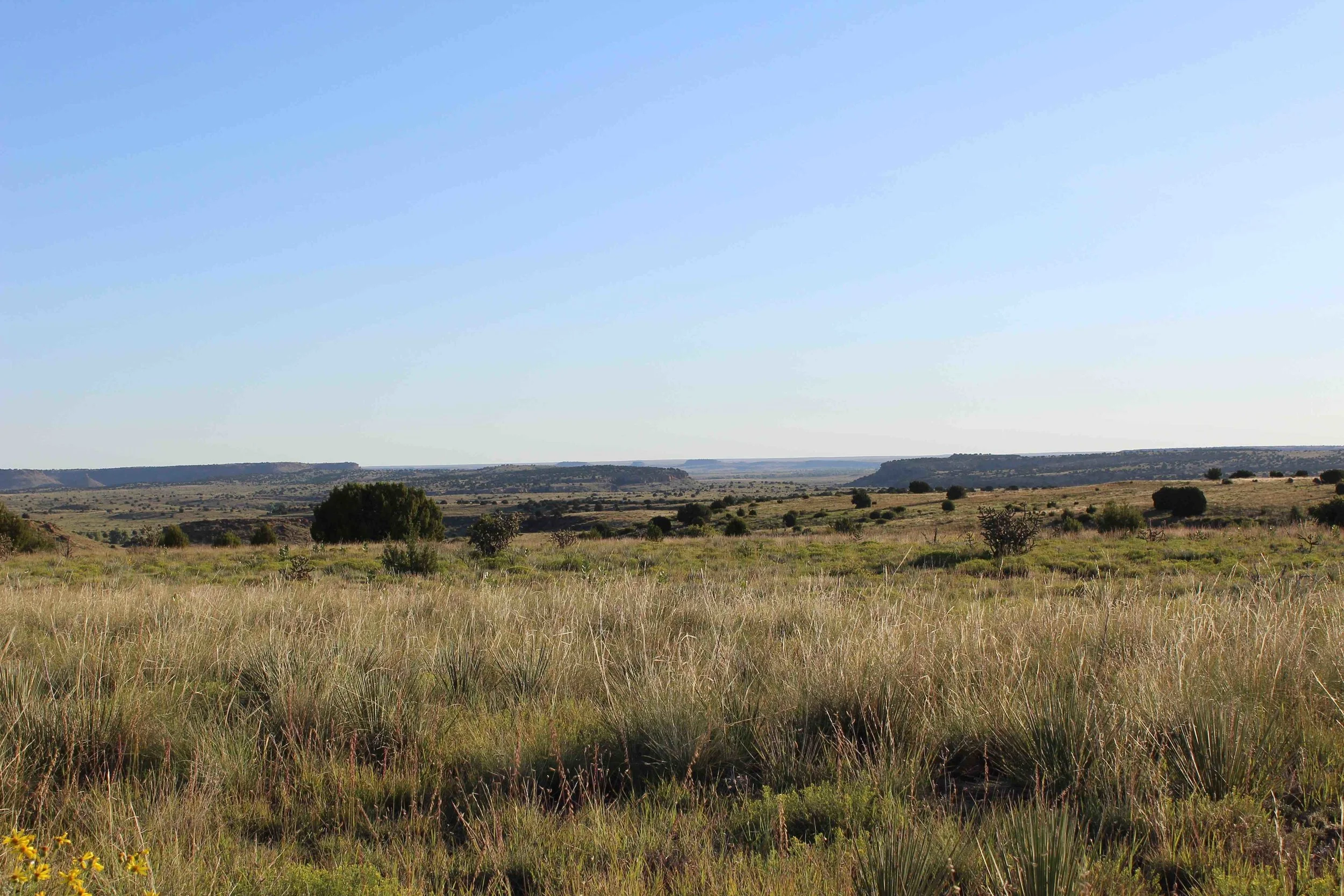 landscape 2.jpg