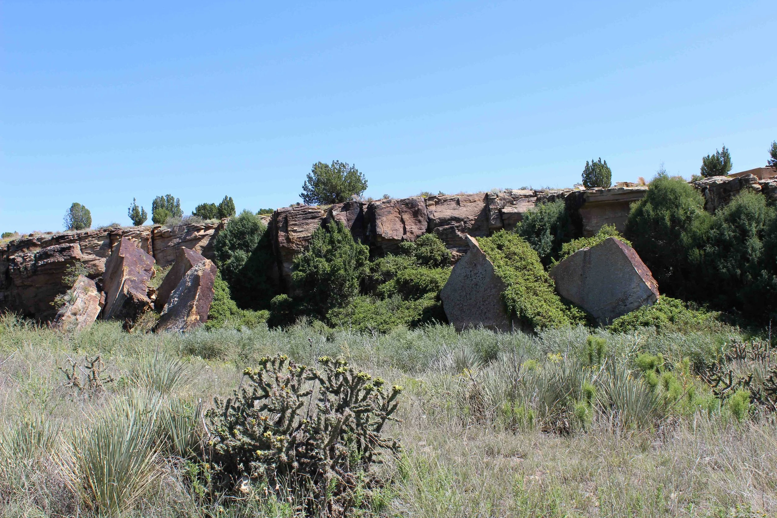 buttes and cliffs 2.jpg