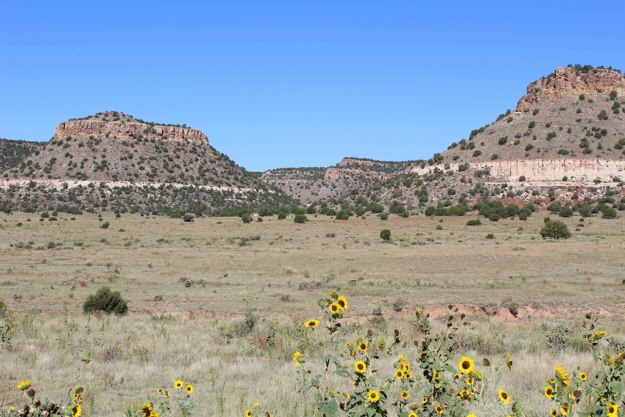 buttes and cliffs 1.jpg