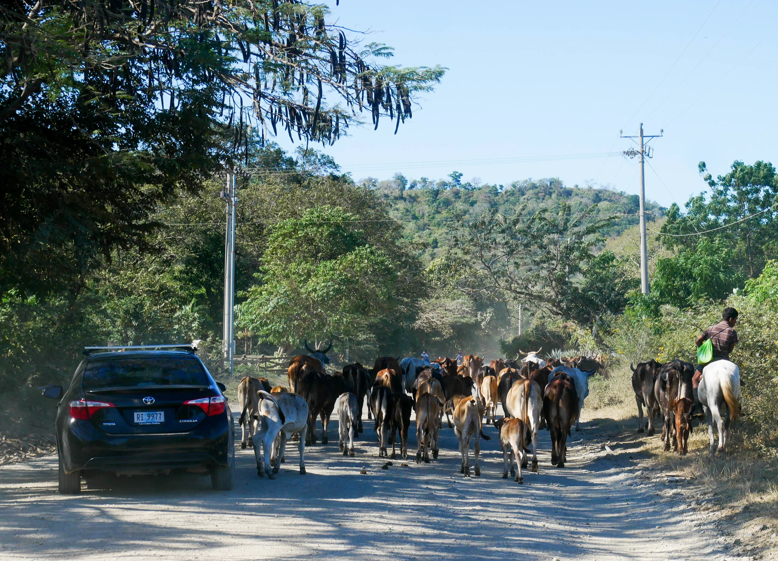 Experiencing local culture is a big part of the Papaya Wellness Retreat experience. 