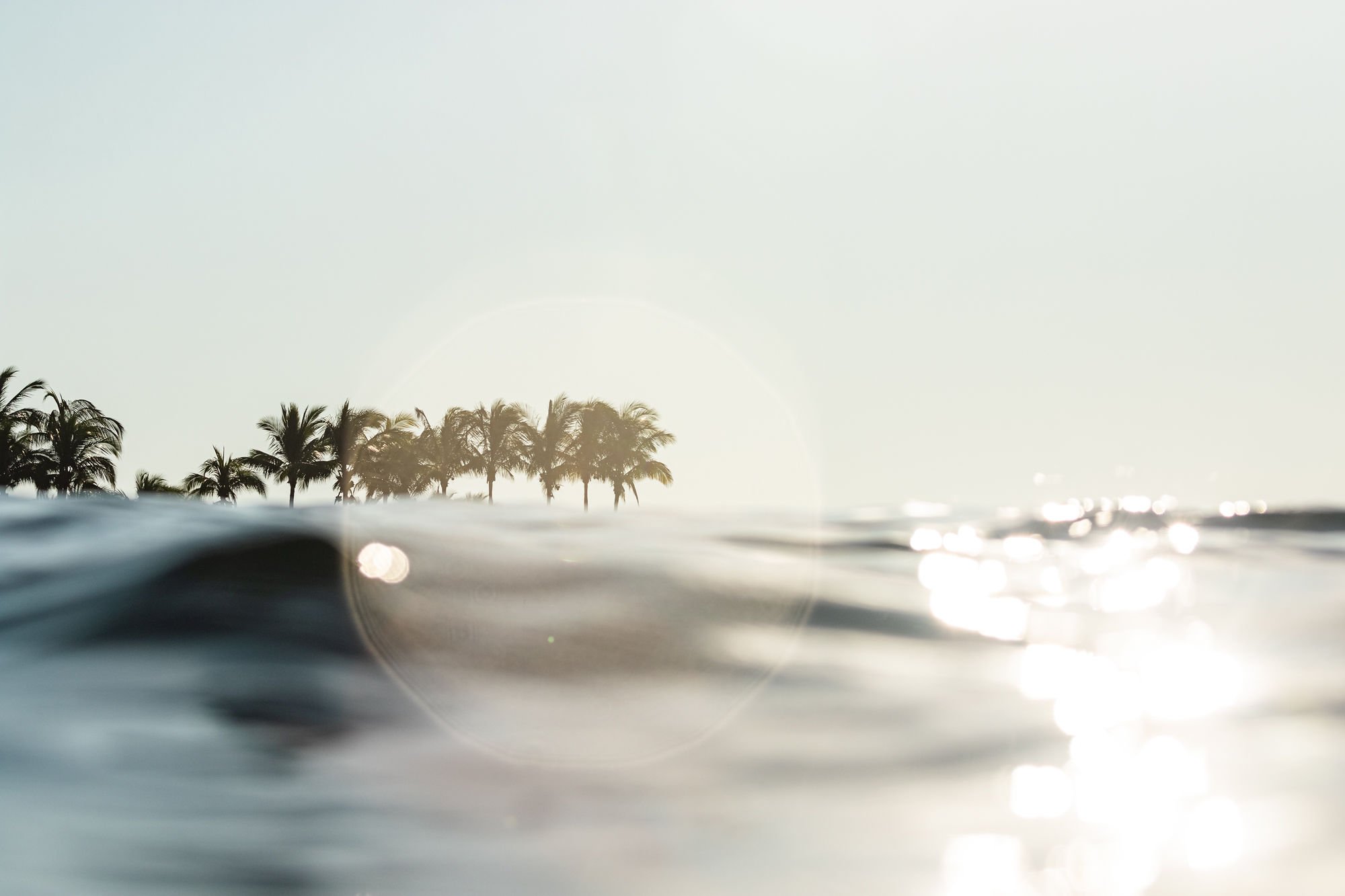 Papaya Wellness Yoga Surf and Adventure Retreats in Nicaragua Mexico Costa Rica