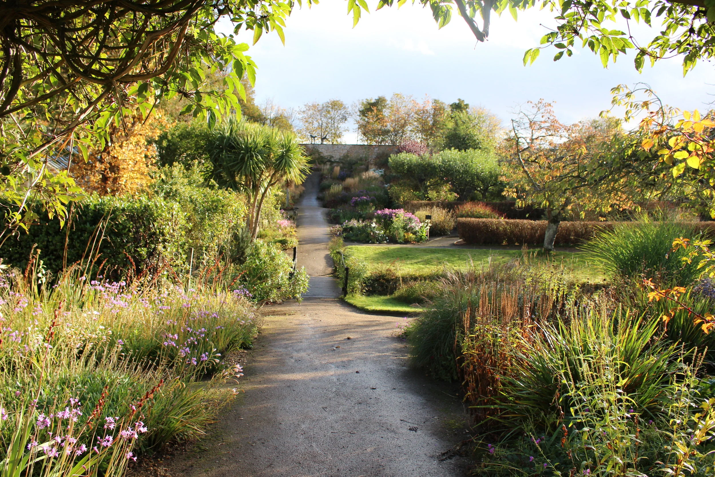 The 2.5 acre walled garden planted in a naturalistic style. The walled garden has great drainage (a wee burn runs through the centre) and sandy soil. Although a short walk from the North Sea, Elliot Forsyth, head gardener, uses plants suited to zones 7/8.