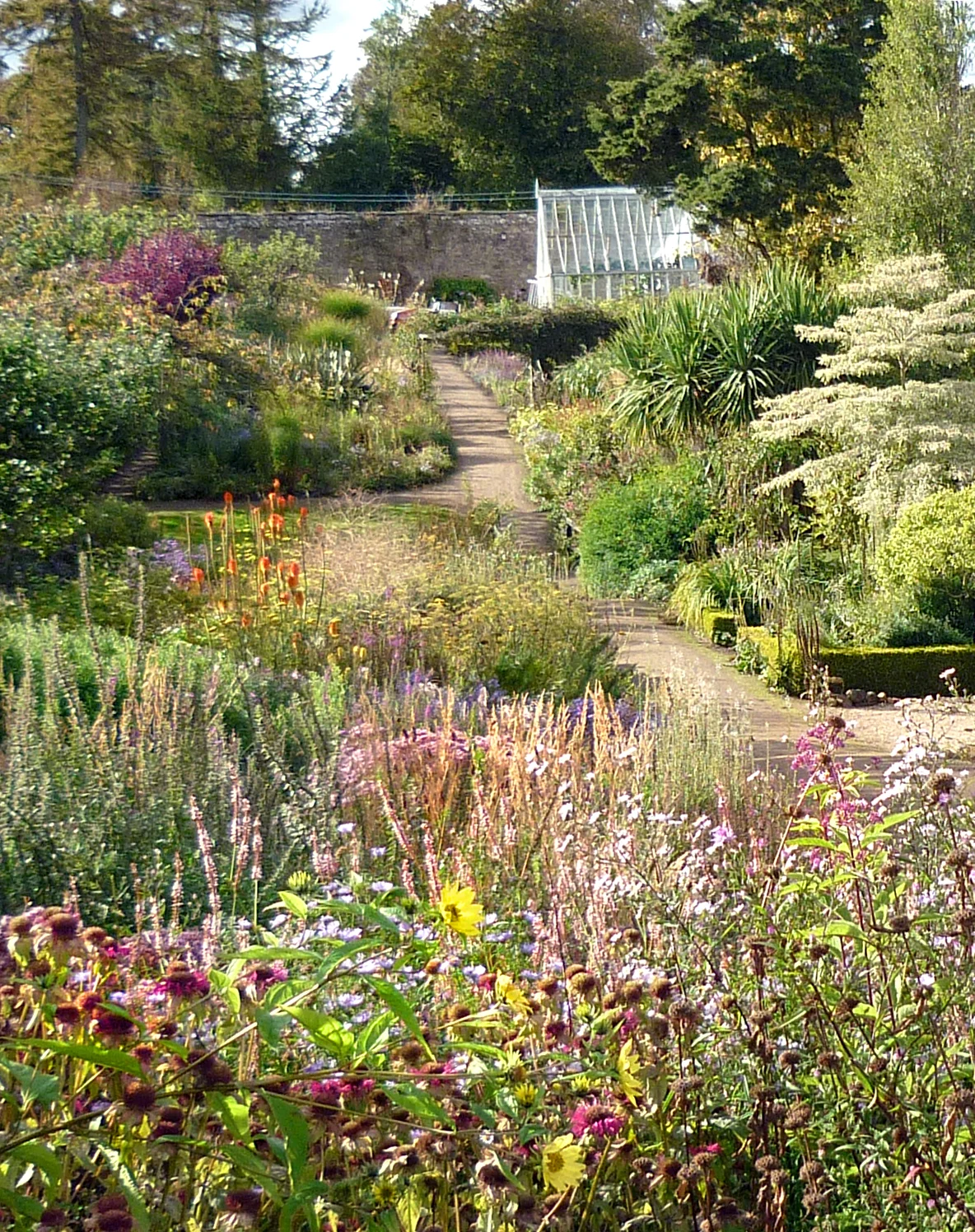 Late September in the walled garden. Photo courtesy of Sir Peter Erskine