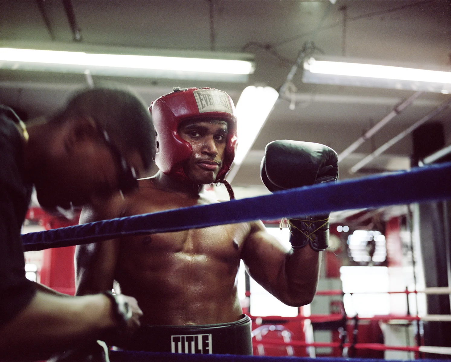 BoxerRing1.jpg
