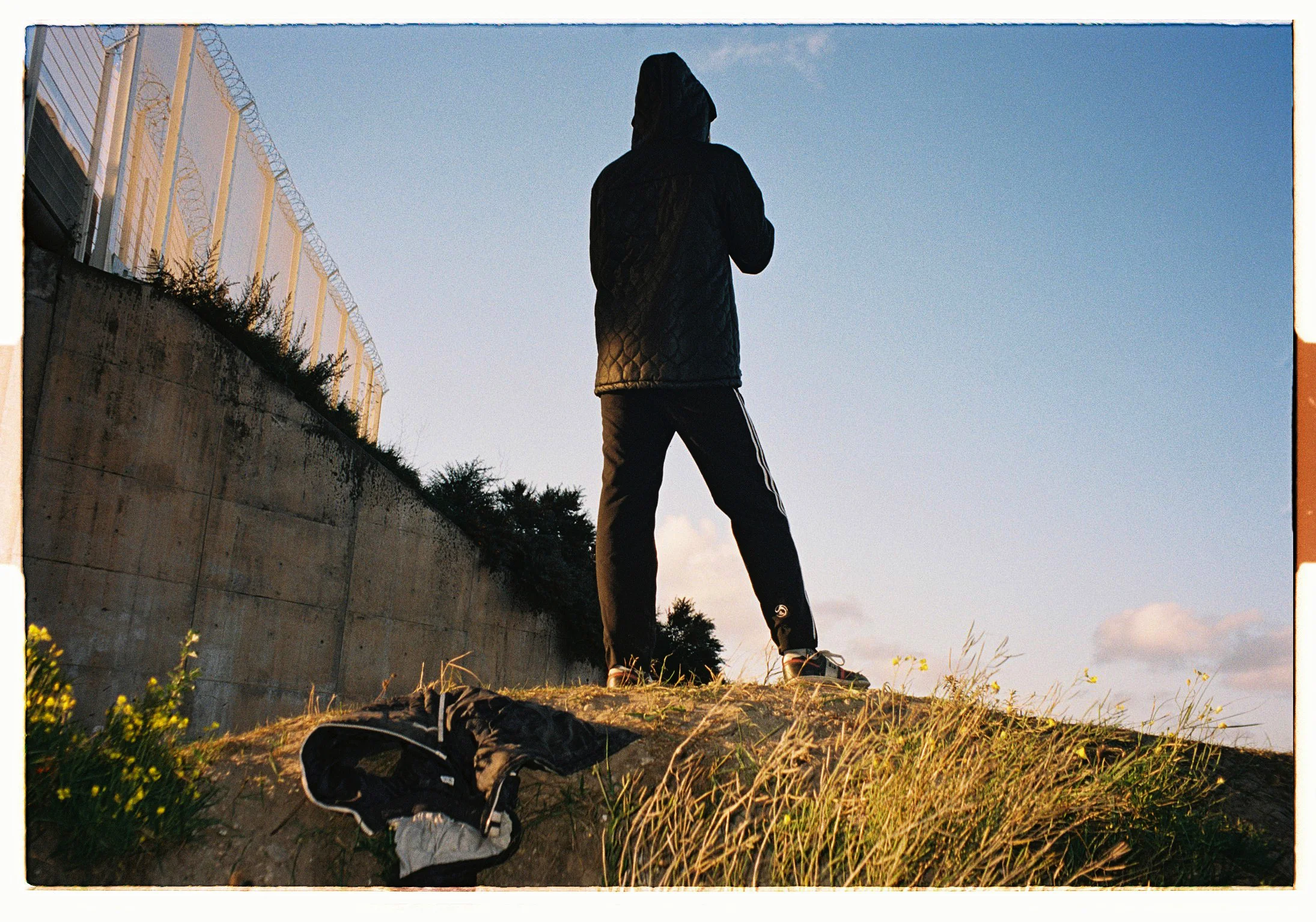 Jungle_Web001.jpg