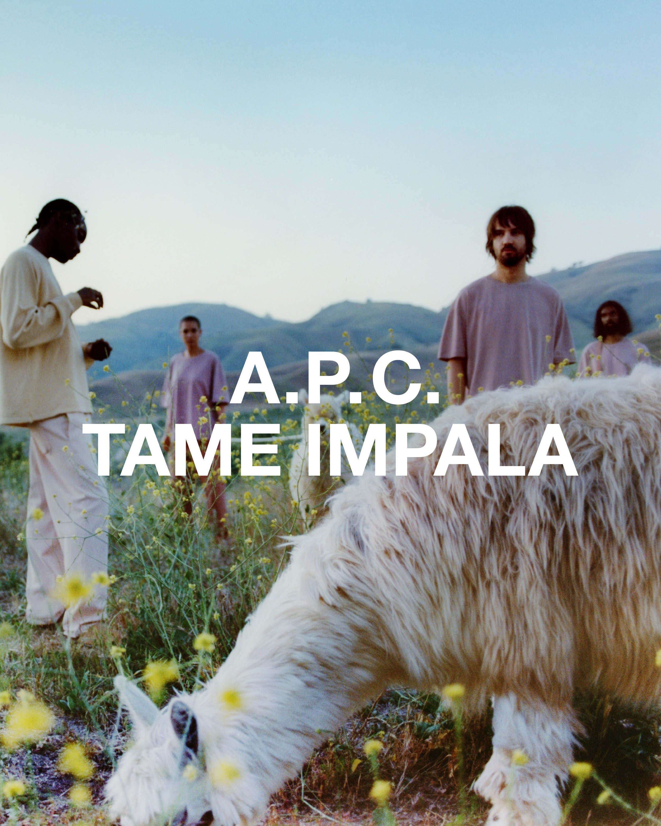 A.P.C.