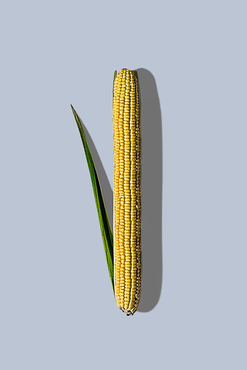 ambrosio_a_final_project_01.jpg