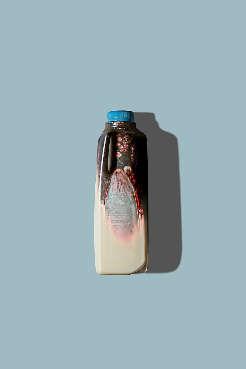 _Ambrosio_A_ModernFood_04.jpg