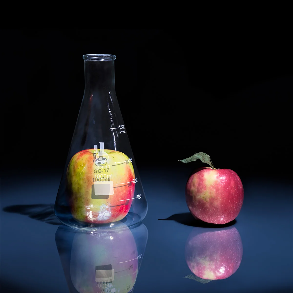 AAmbrosio_Apple_20160525_v2.jpg