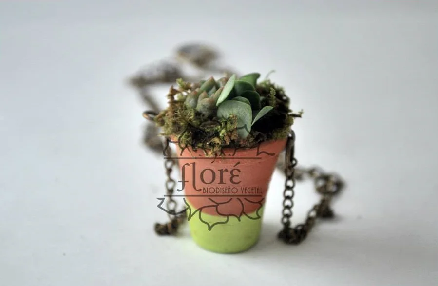 Collar vegetal hecho en México | Imagen, Floré Biodiseño Vegetal