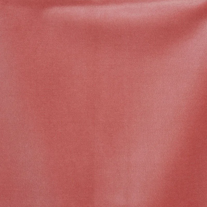 Kendall_Rocky Performance velvet .jpeg
