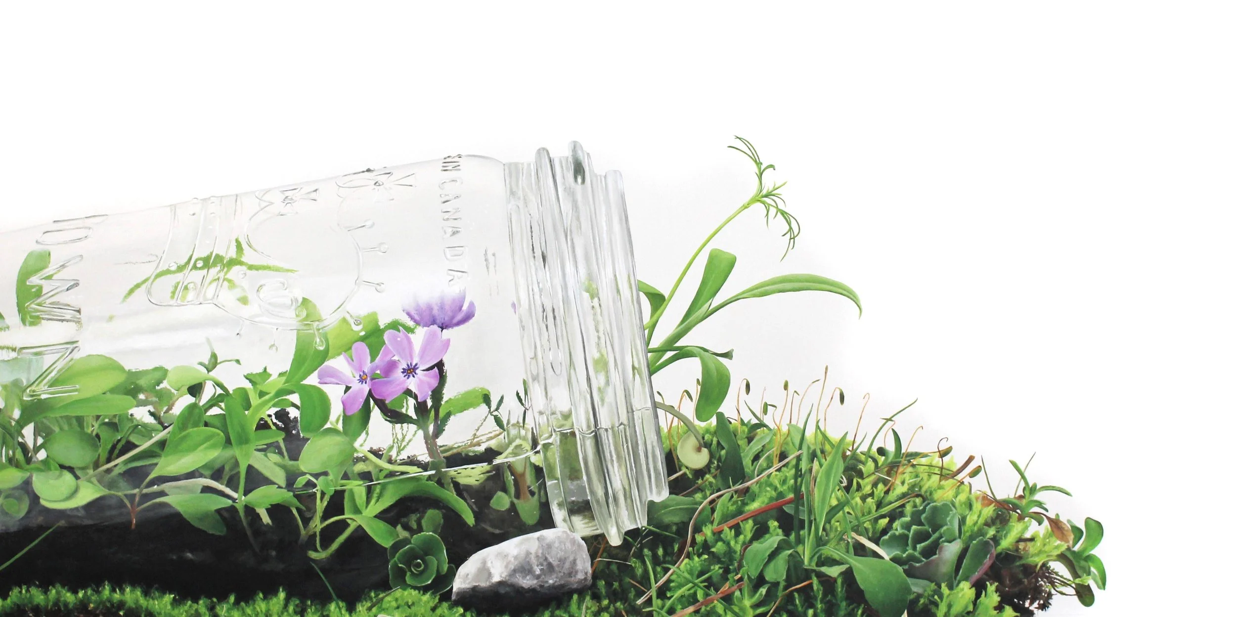 Upcycle