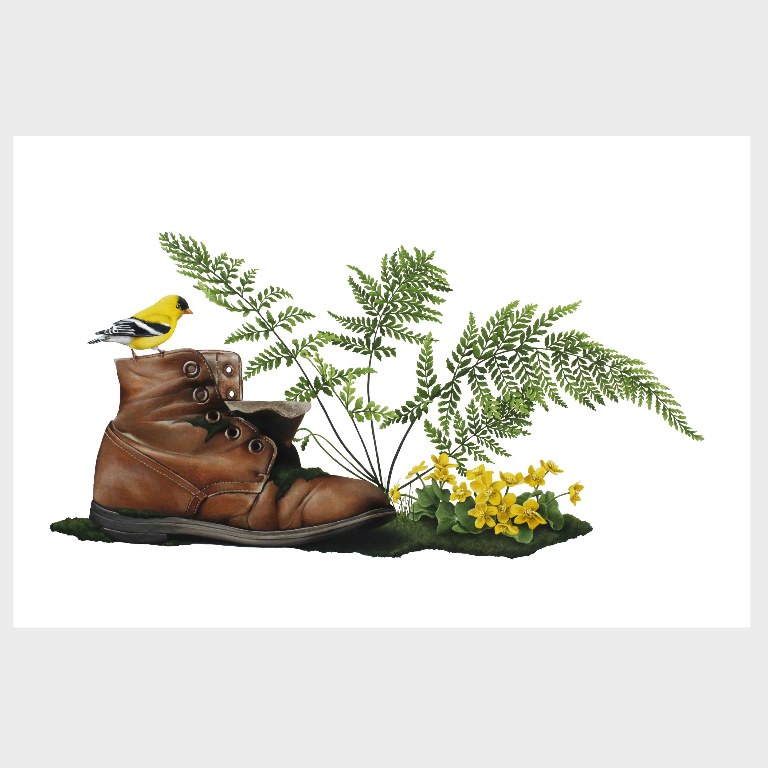 The Boot, the bird and and blooms WEB square.jpg