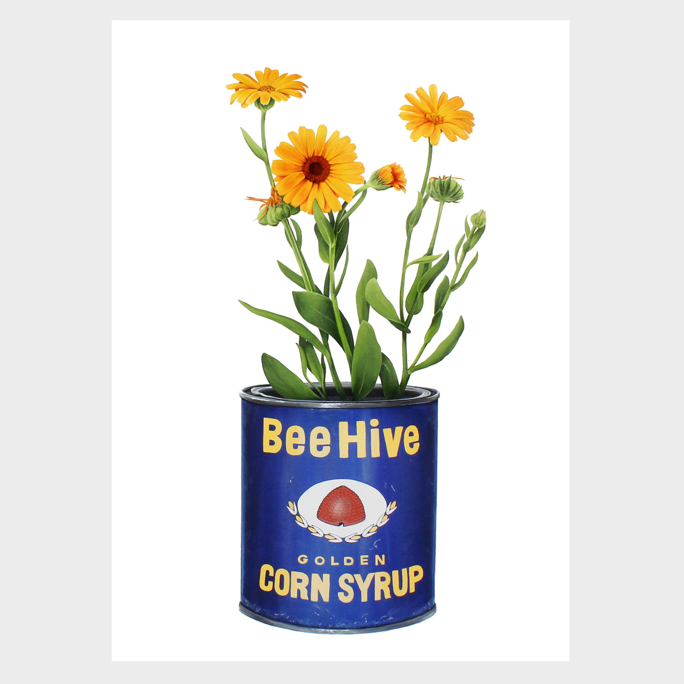 "Bee Hive Corn Syrup" Print
