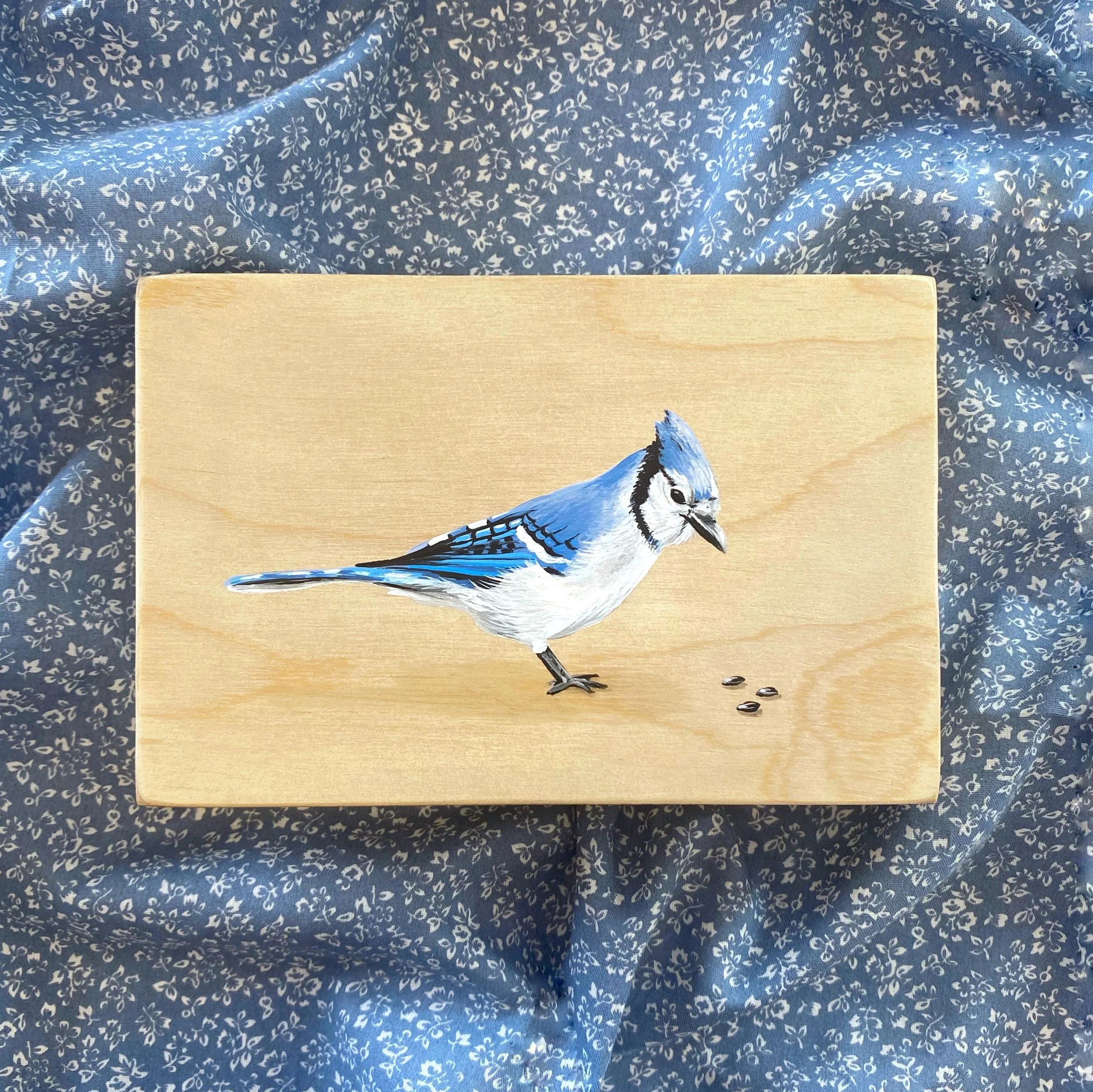 Bluejay