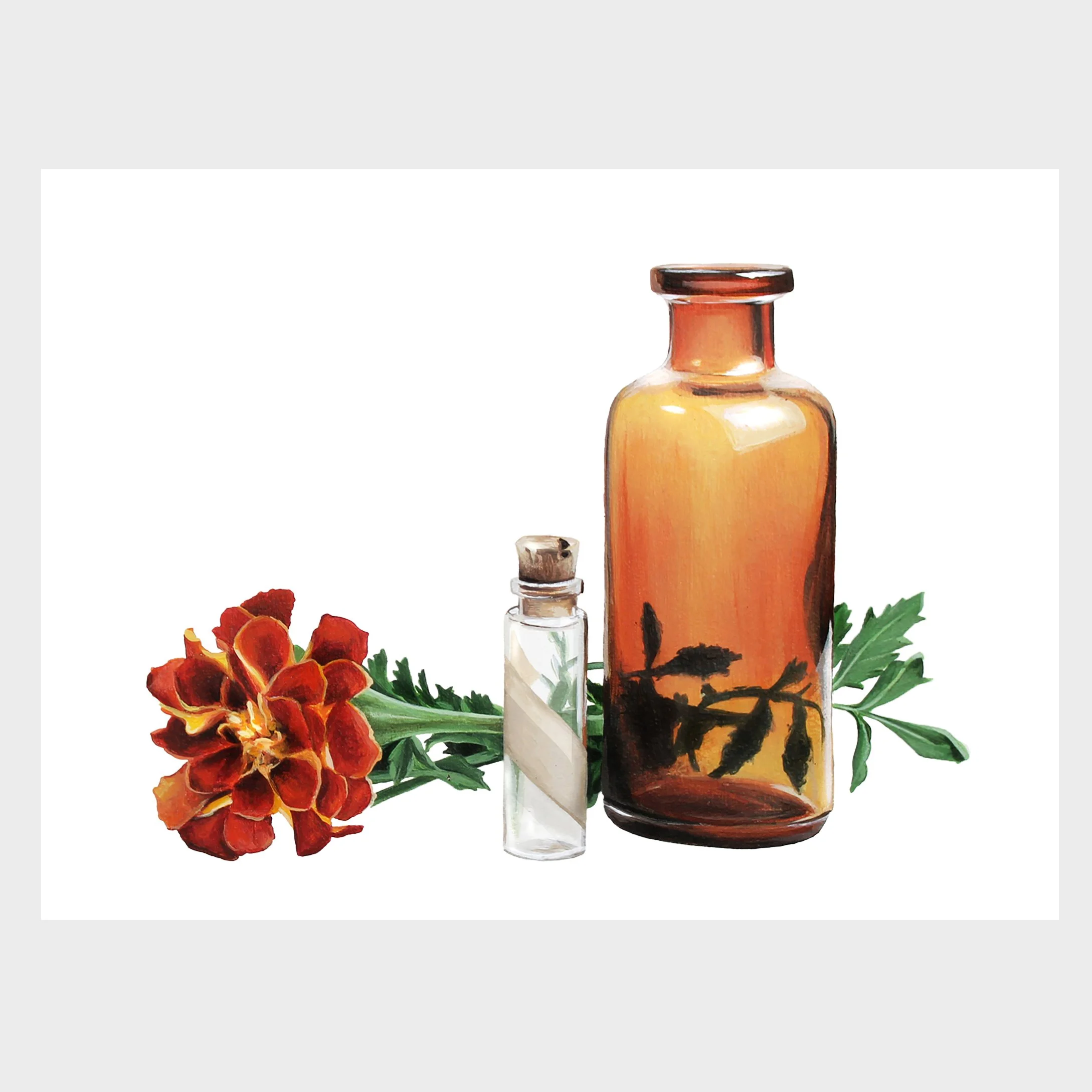 "Amber Bottle" Print