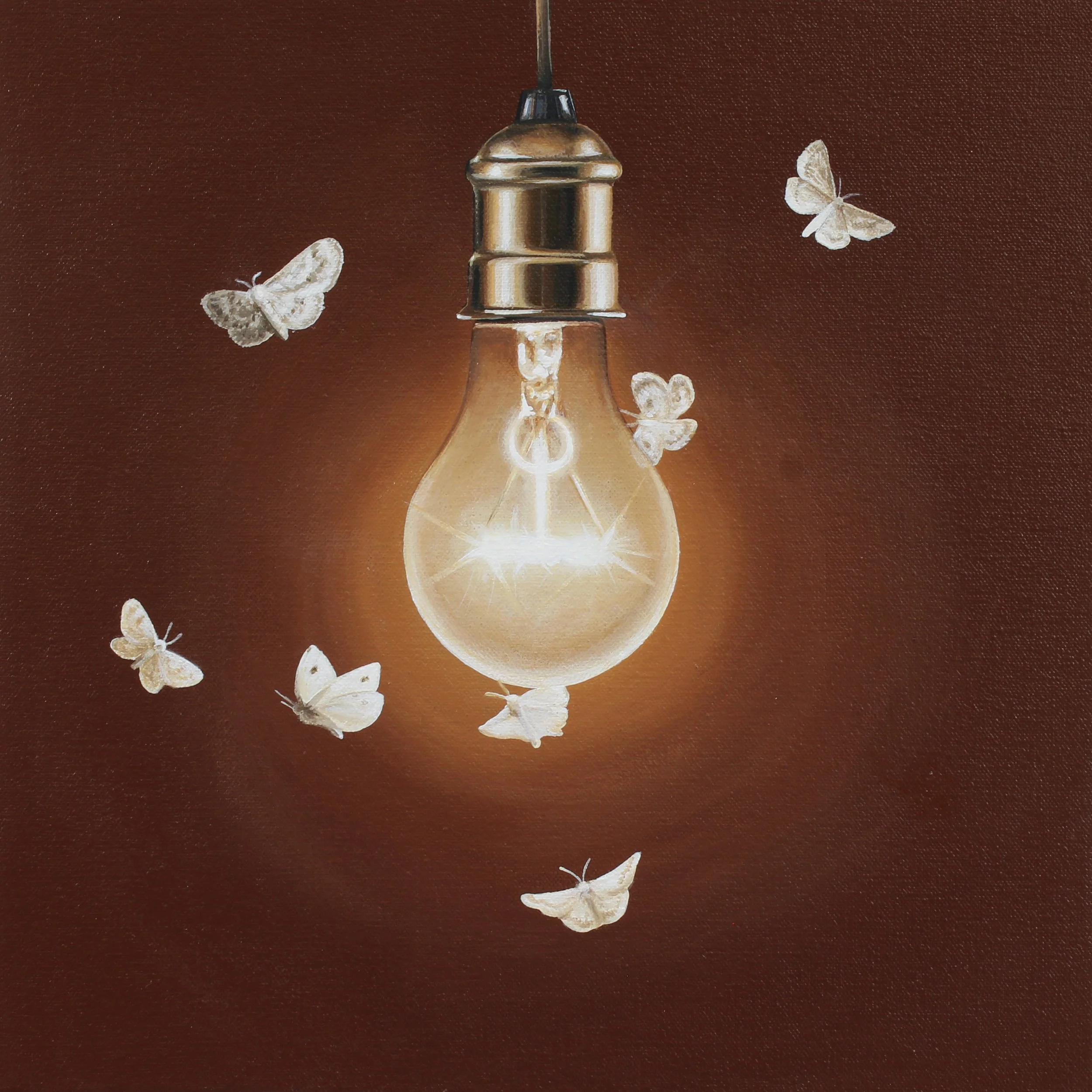 By The Light