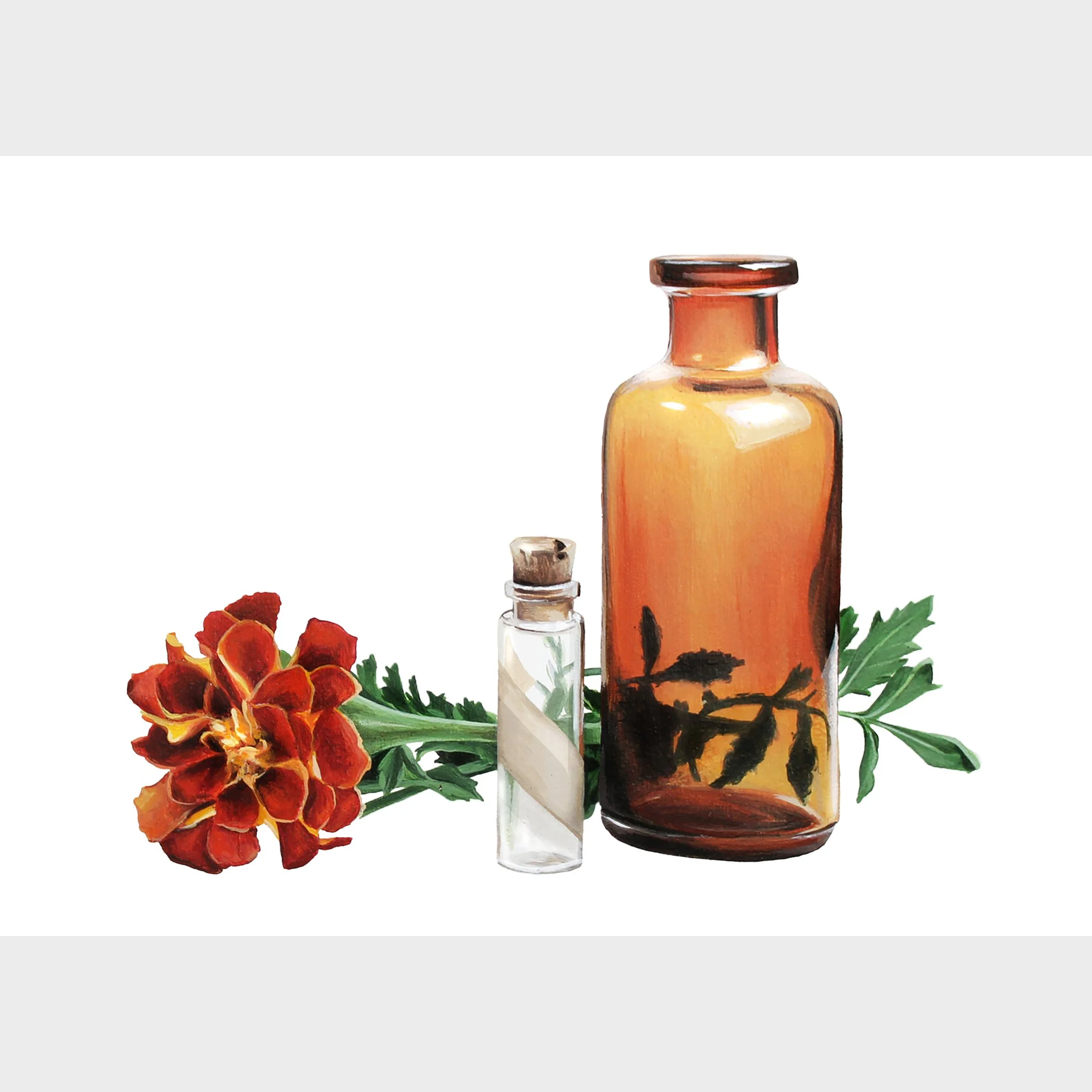 Amber Bottle Print.jpg