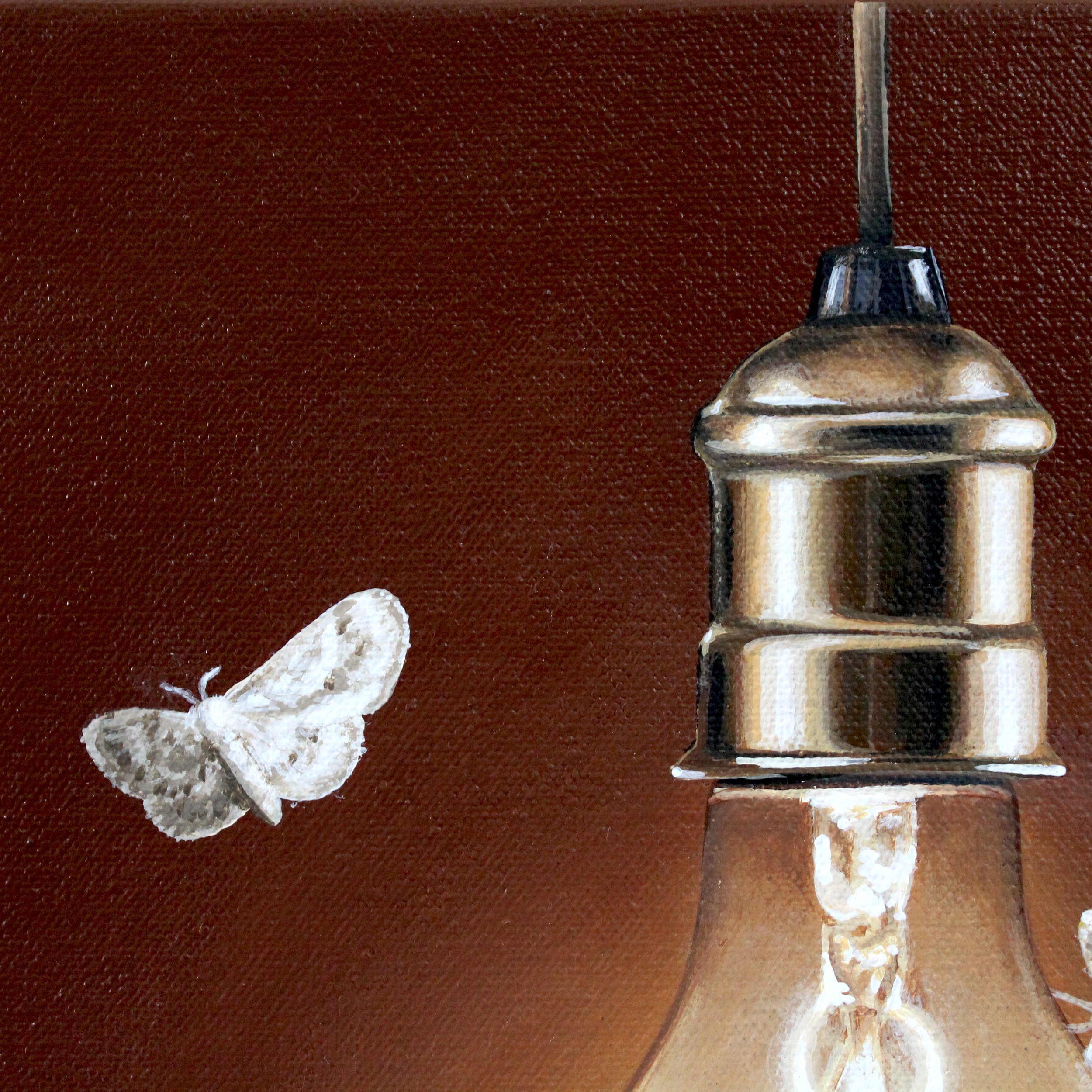 By the Light Close.jpg