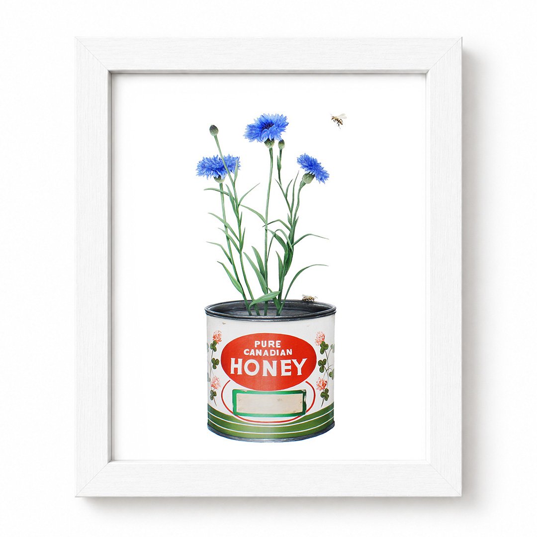 Honey Tin Framed.jpg
